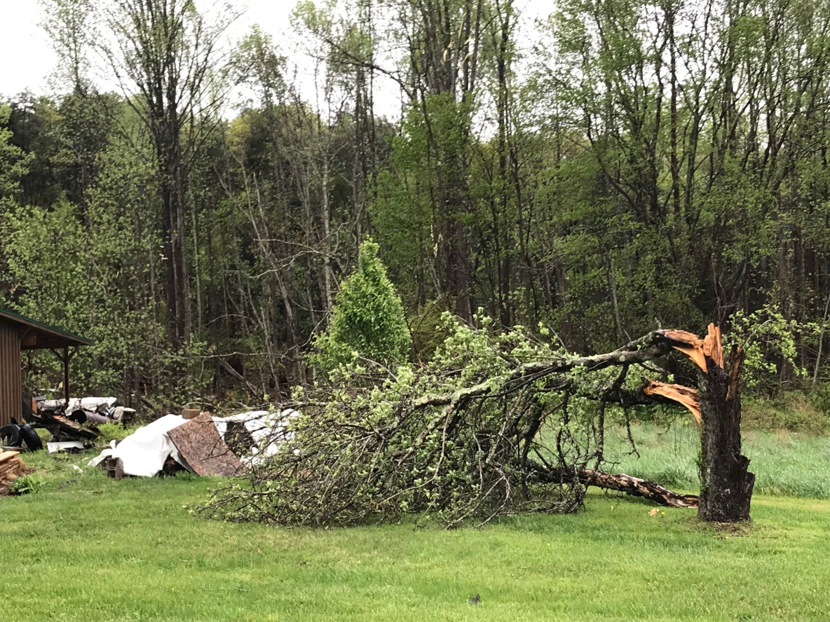 STORM